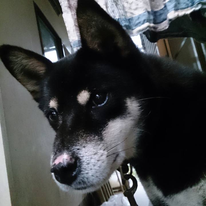 Be4a26a0 9662 4a0b 8758 bbc7a3caccef