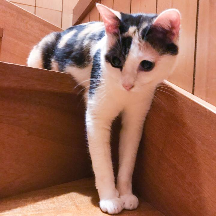 Be4b73ee 8c69 4227 90f3 e63c32411ecd