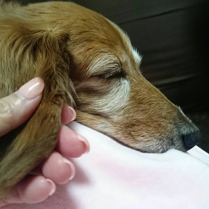 Be4bfd1a 8723 48b0 936c 80f1f11934f3