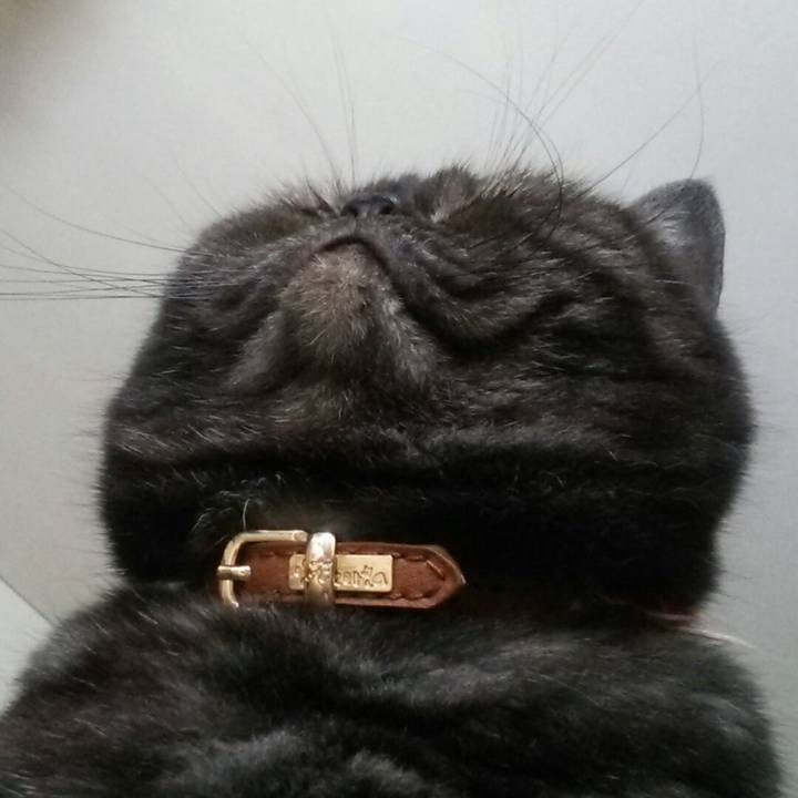 Be4c3090 80e6 41fb 8b08 6f4622c63dcb