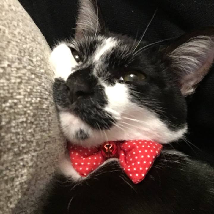 Be4c31e7 14a5 4d65 a2d8 a5ab0c373597