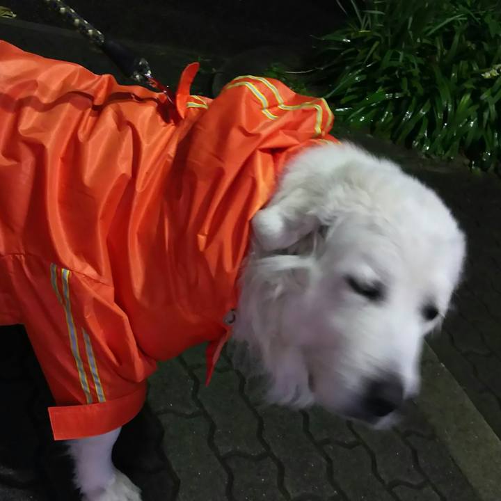 Be4cc403 9267 4ac5 a1f9 3ec30a4df688