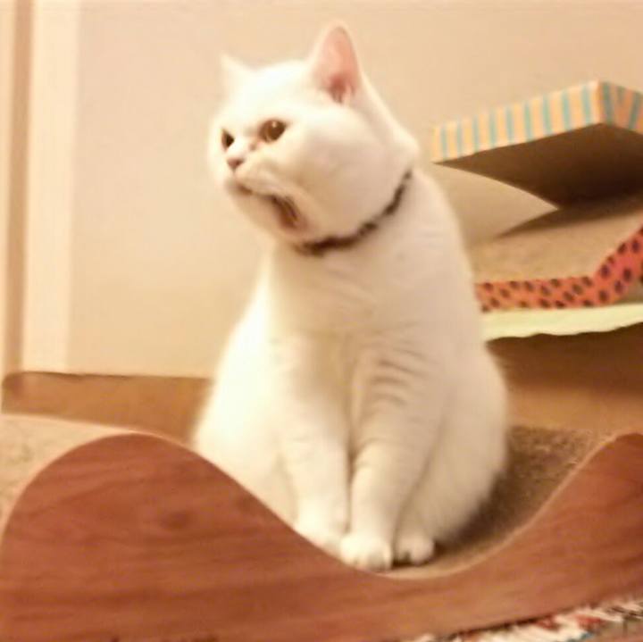 Be4d5bf2 ca68 4432 9903 c3264bd39ebf