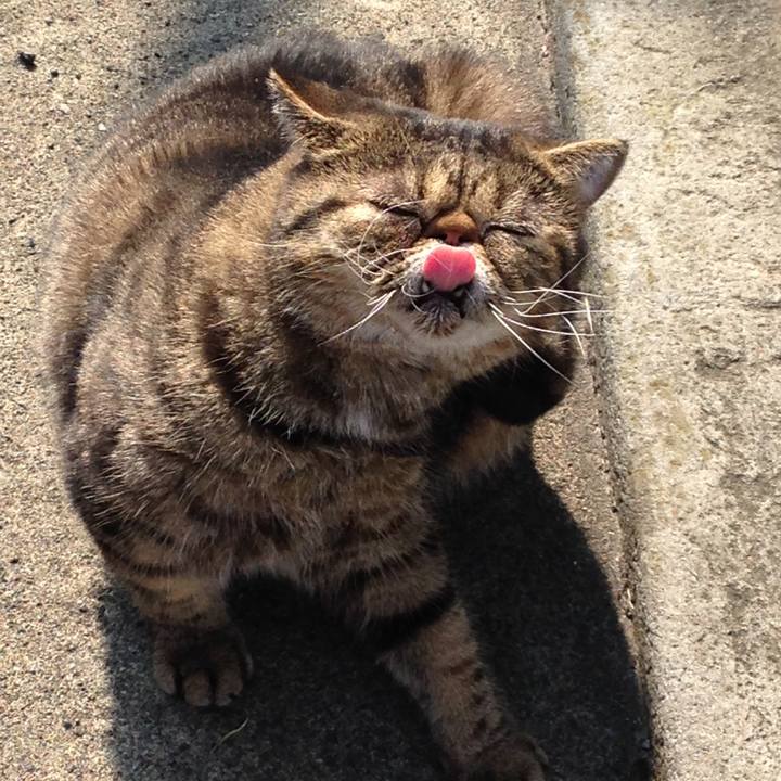 Be4de253 e7c5 42eb 9fbe f7da6bc3a784