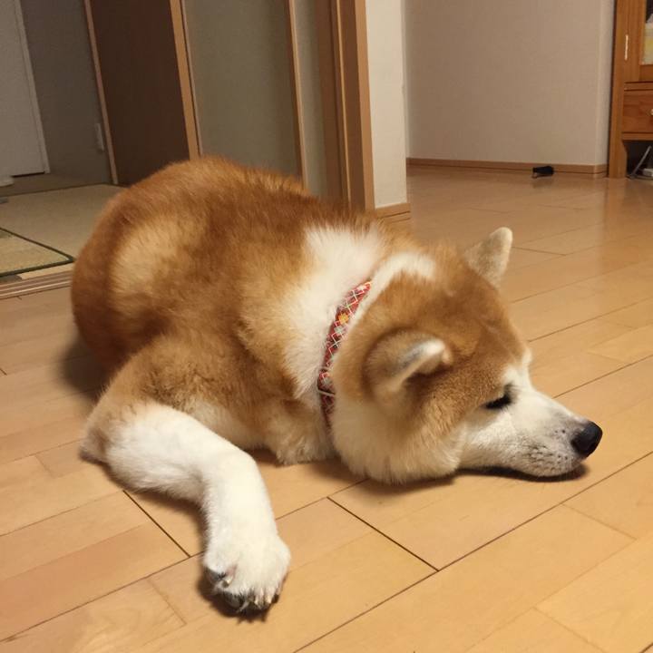 Be4e0468 f914 447d 806d 3140cb214f9e