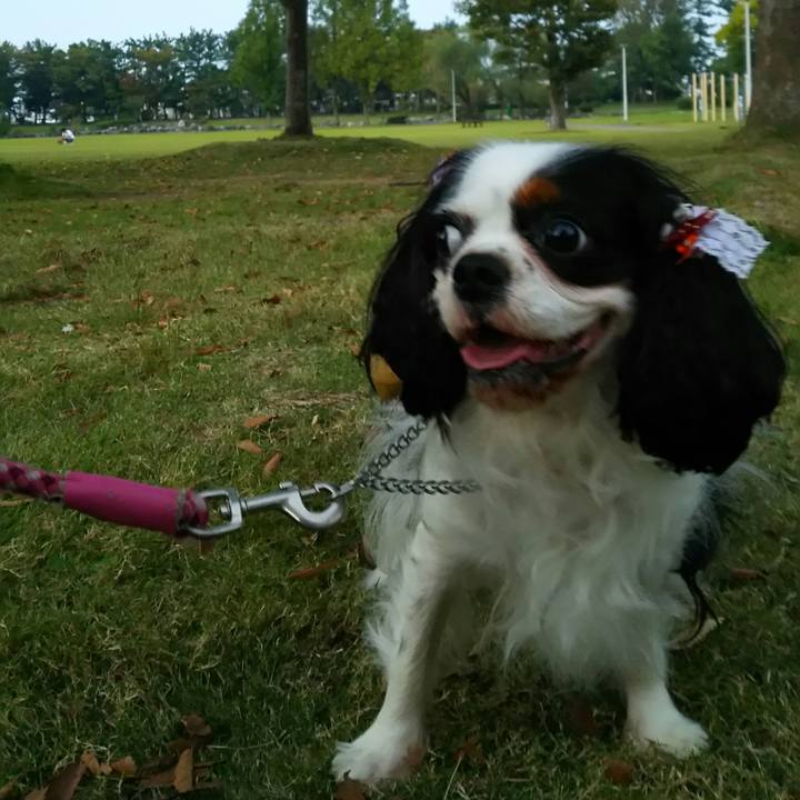 Be4e2424 caf8 451e be85 79d035dab6fa