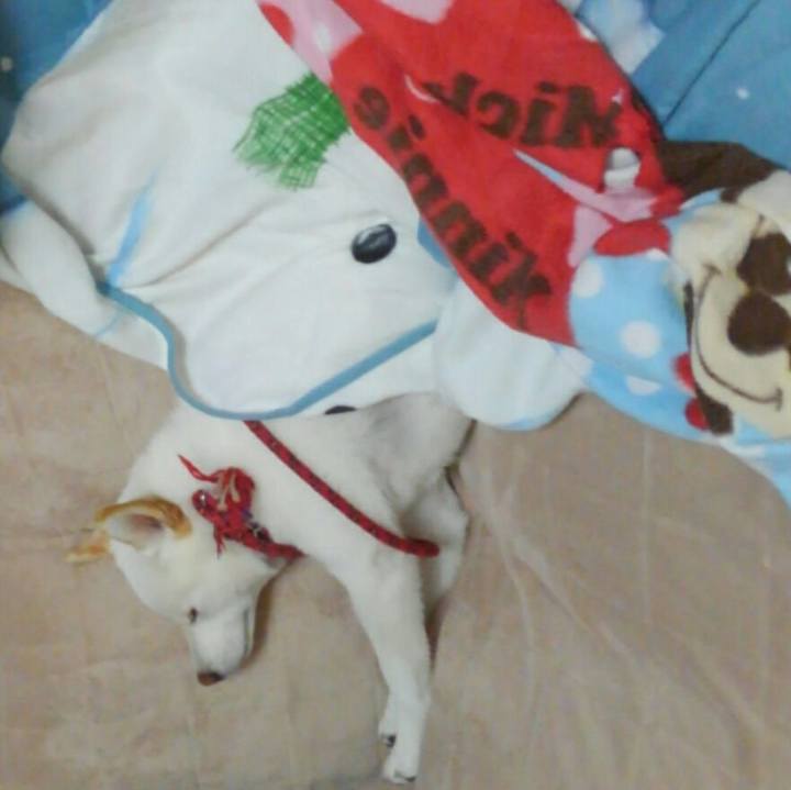 Be4e2948 fb3f 4cac ad46 076e0f58f31e