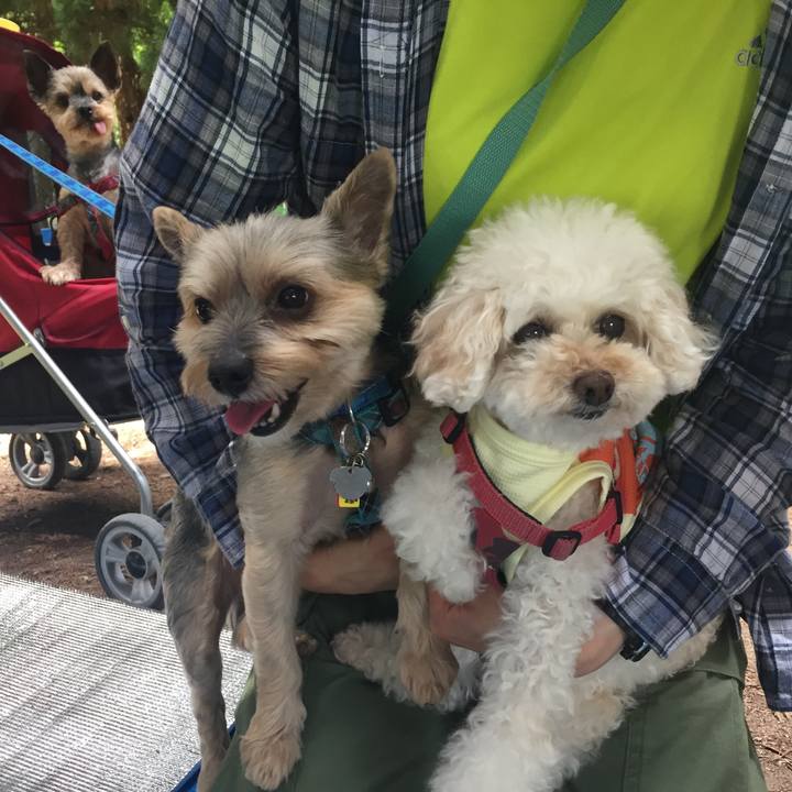 Be4e420a a74d 4964 a85a b0e85d6ba4f7