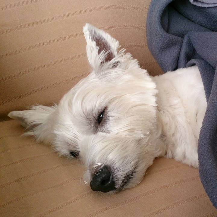 Be4f0f27 c296 4d4e 8eef e80be46347d4