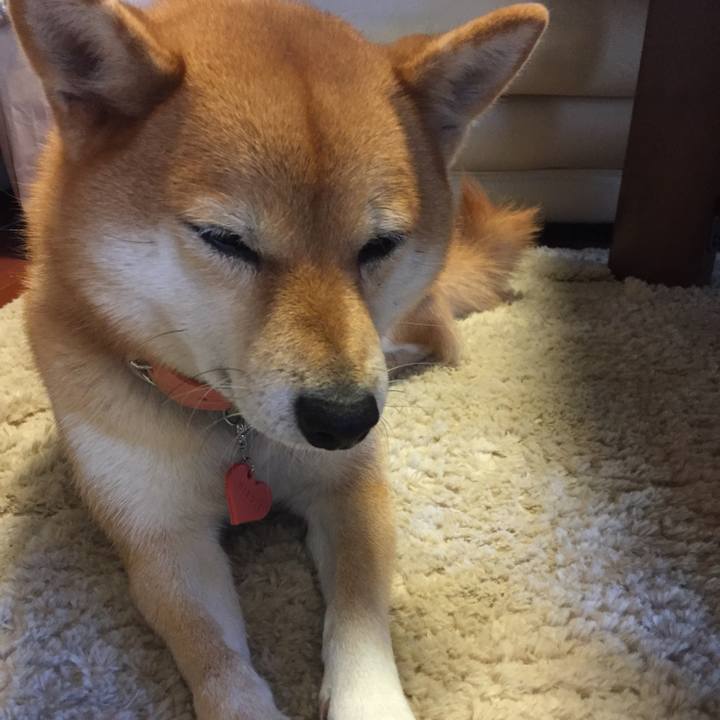 Be4f8cb0 ac6e 4b86 bd6f a4821be125b4