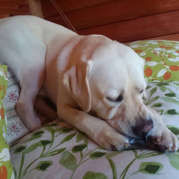 Be50d90c 207b 4ea9 ae2e 2a2223a98975