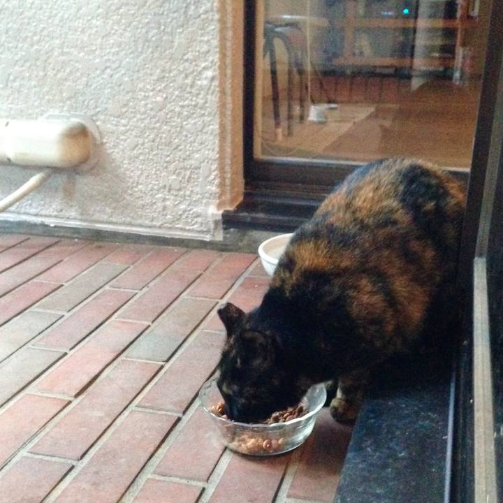 Be5128a7 61fe 4a74 9be6 4c1666988aa0