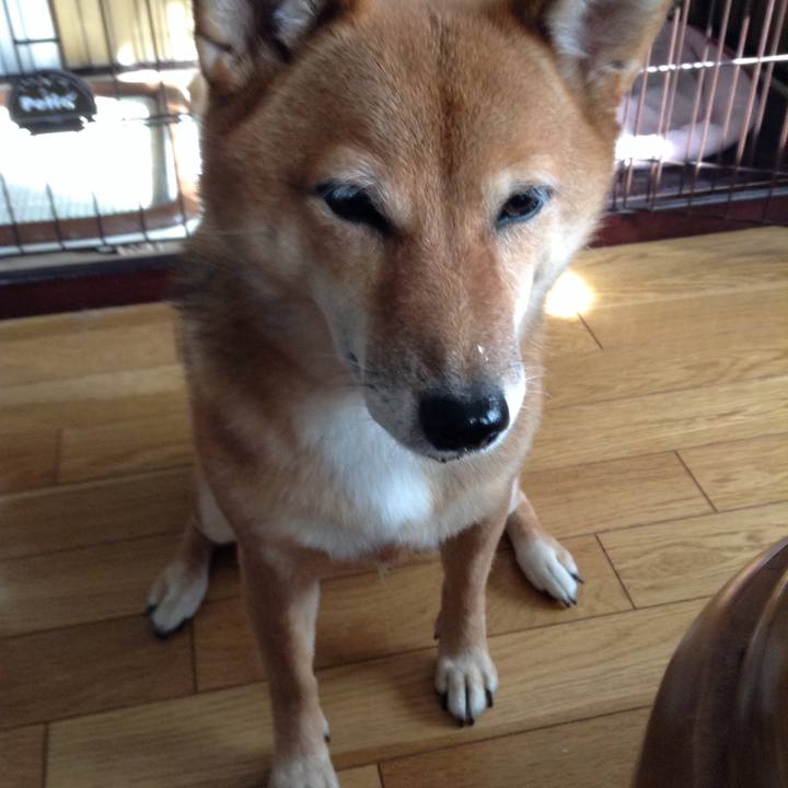 Be5227f1 c9ec 468f bb5a 3a4b83d18dae