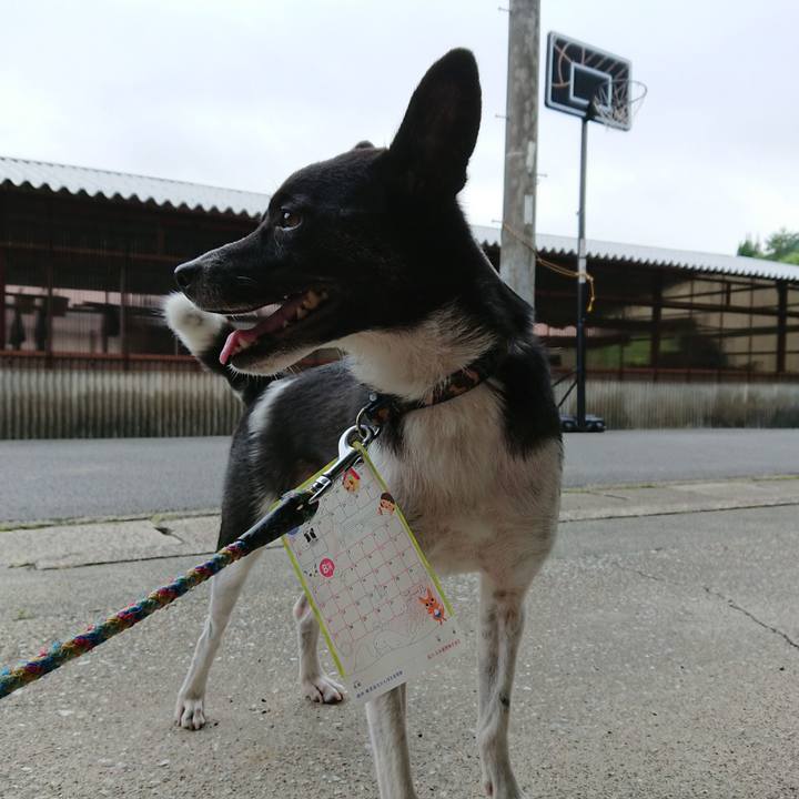 Be522885 ba93 4d8f 83a6 6654b8982d4a