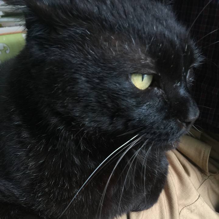 Be52d2f9 df0c 427d a8af 6c0452ce12ce