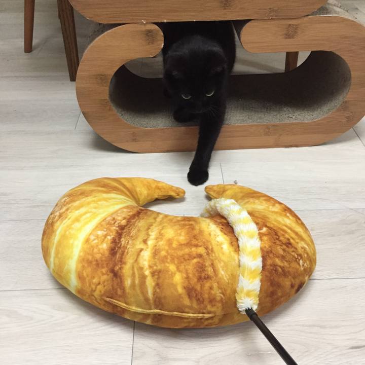 Be53471f c275 4715 9158 f89be71ec8eb