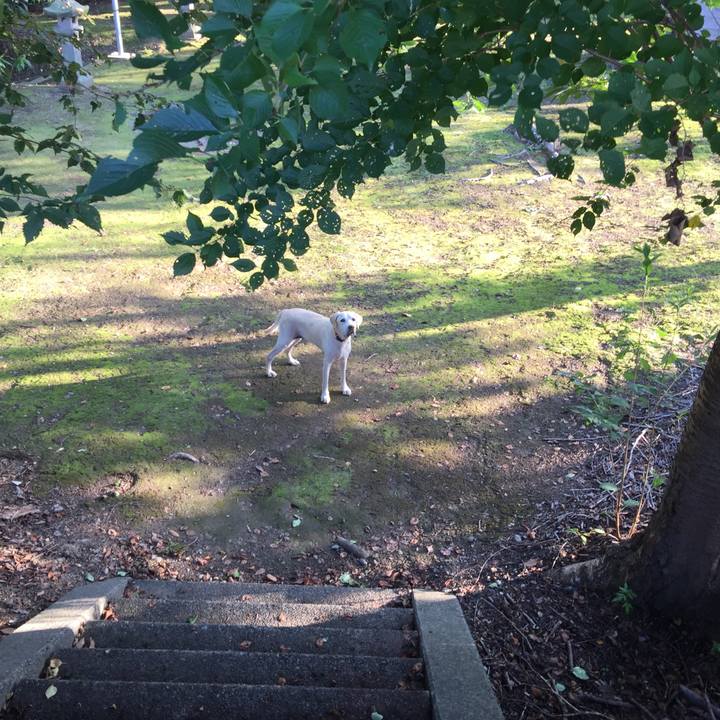 Be53fa22 cad8 4de8 a4cf c1a69a22f48b