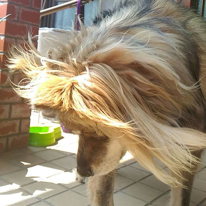 Be54283e 0ab4 40ac 995e fe6296b7adce