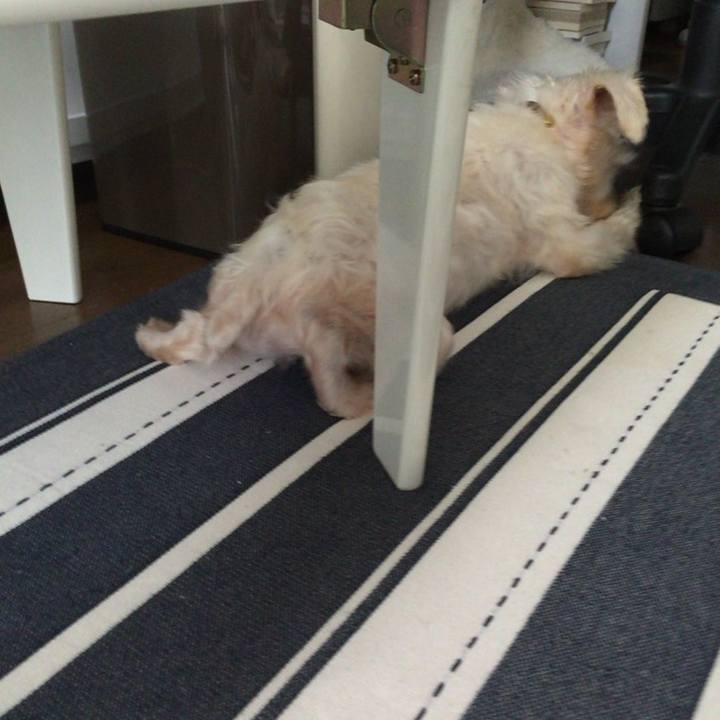 Be55288e df08 421d a3d8 6b6aec0b396f