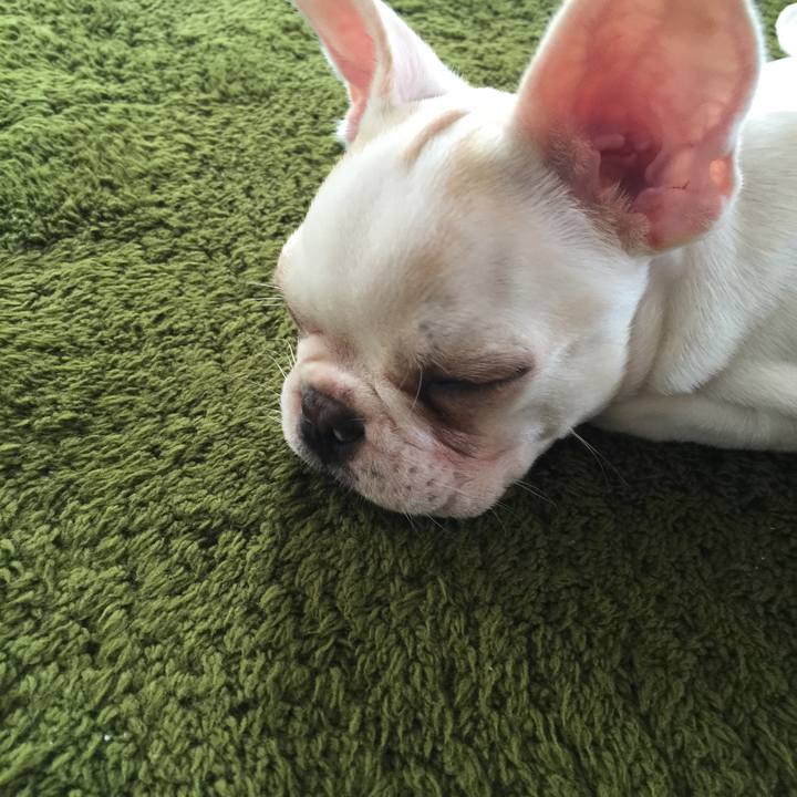 Be5569d7 c221 4598 98d0 5046d65aaf3a