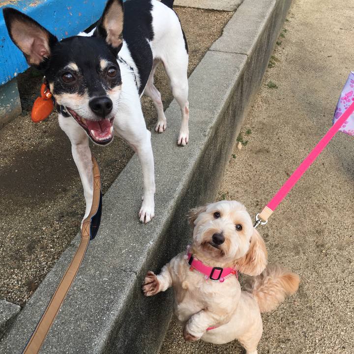 Be56262b 8783 46c7 959d 0e051befb412