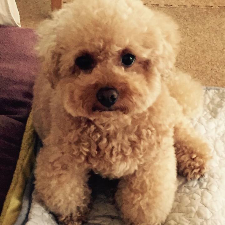 Be576d5f 2e00 4d19 9e0b 0555911b9e5a