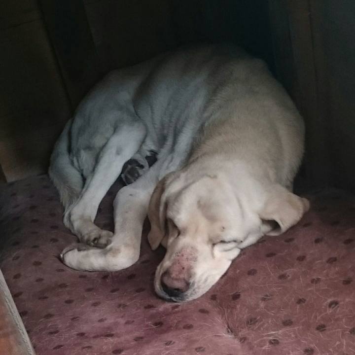 Be5815f0 9bd0 4dce bd5f e35f1ca95459