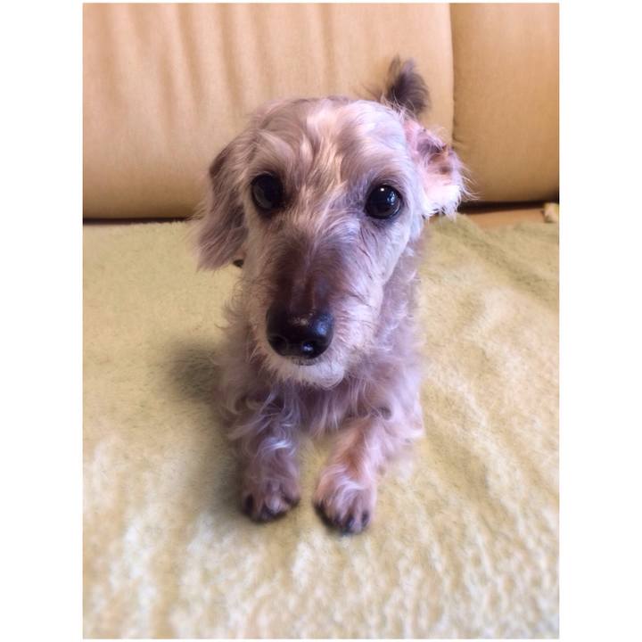 Be592ceb 2767 462f 8532 95e258613317