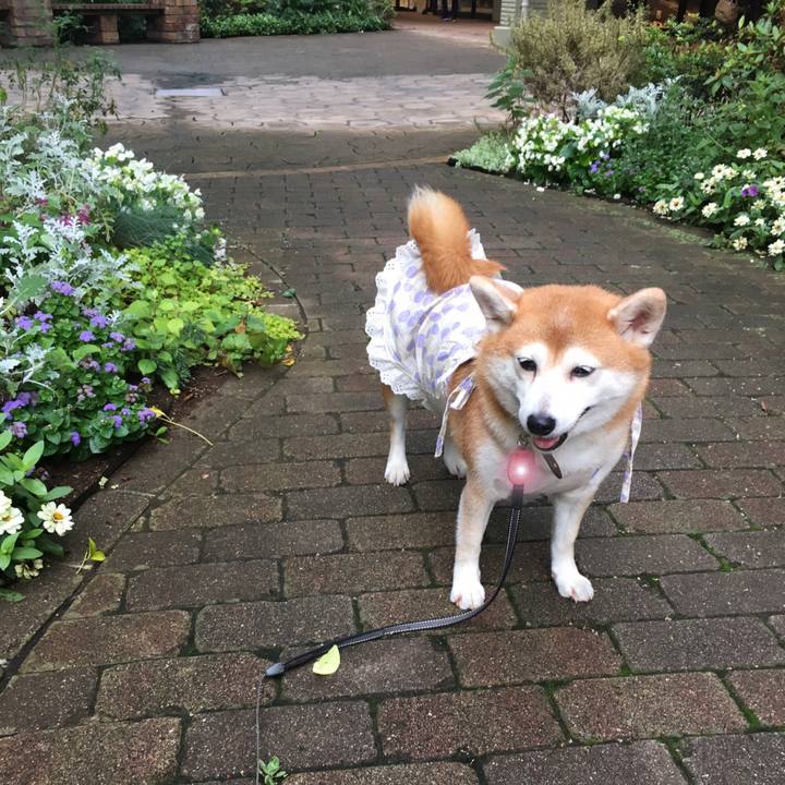 Be59f8d4 76fb 43d2 a8bb 392973d67dfe