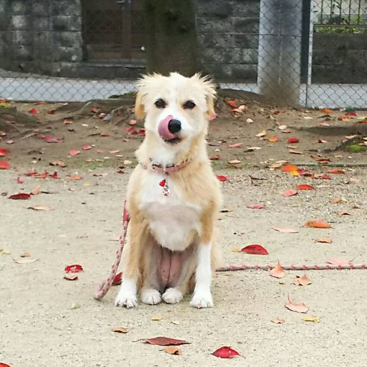 Be5a5246 1e54 4b4f a674 d1e680047717