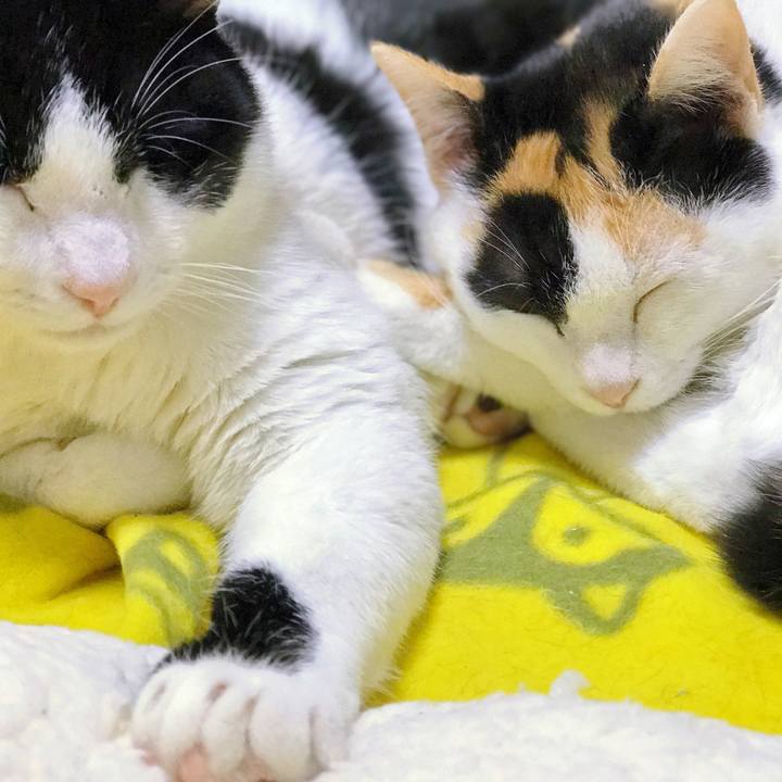 Be5b9dd5 7c38 494c b37e 9466e5551829