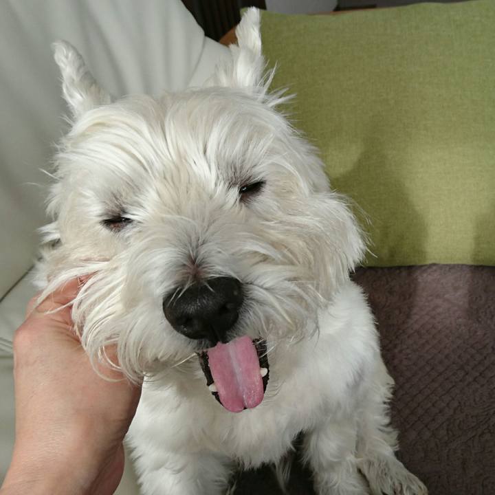 Be5ba875 8c99 45c5 85f7 6cfe1dc25e3e