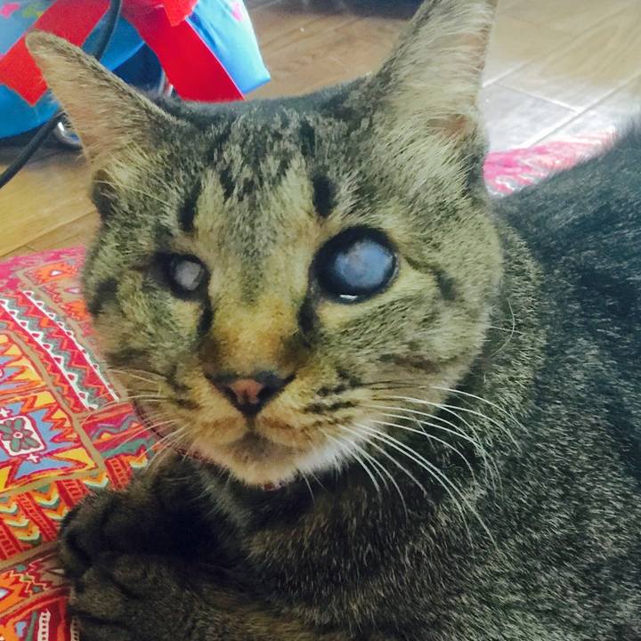 Be5c497d 6071 454c ac93 18ebe08b6902