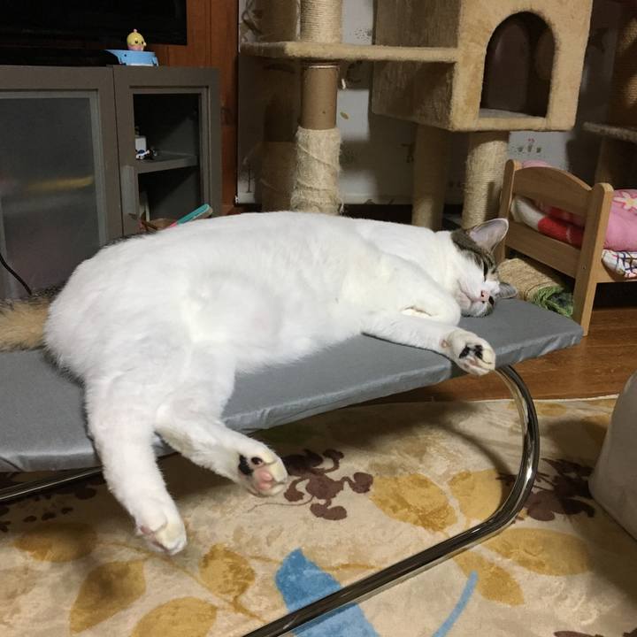 Be5ca76d 5f5e 4fd2 9341 61f25f8ae6af