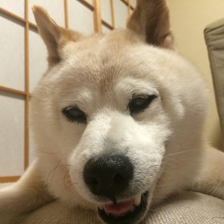 Be5ca90a 52be 455e 901b dbebd870ab13