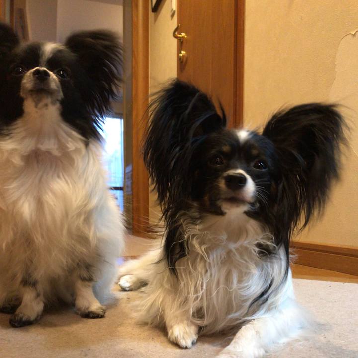 Be5e7621 5dd0 4087 a16a c2b4bba5408a