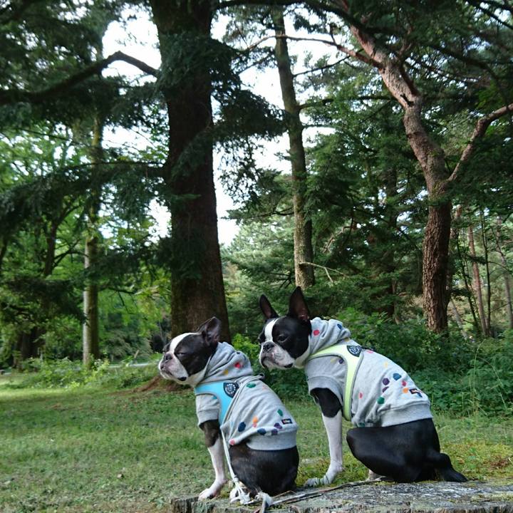 Be5edc55 f9d3 43fc b5de 5872cdaf853f