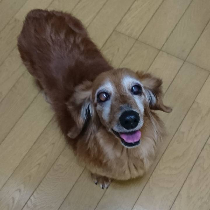 Be5ee3f0 507a 42ba 8510 3ce2a6b2e038