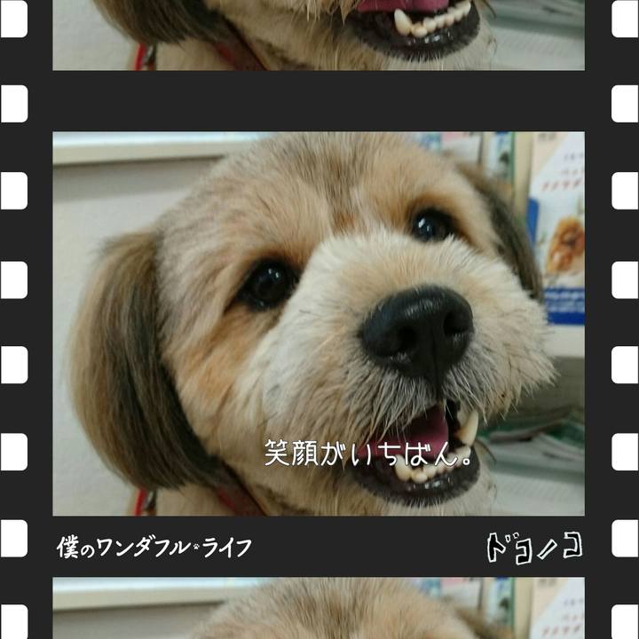 Be5f8d87 8295 4215 bc94 3d72d249e7ff