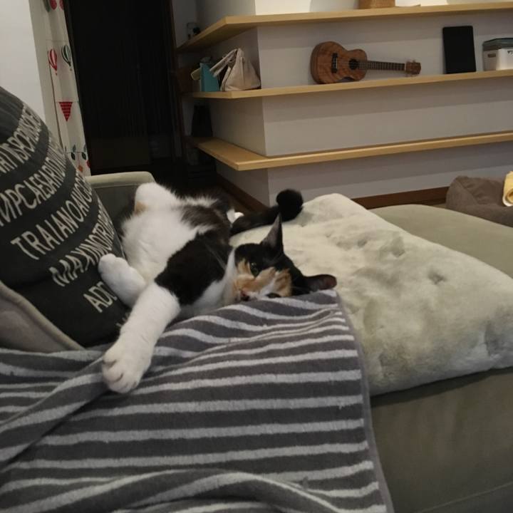 Be5f91a8 af60 4288 a21c 0da5980d0d14