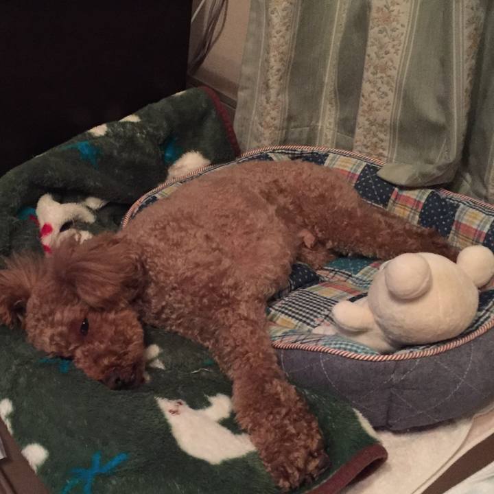 Be601a07 4ed7 435e 89ec ef9fa8177ef2