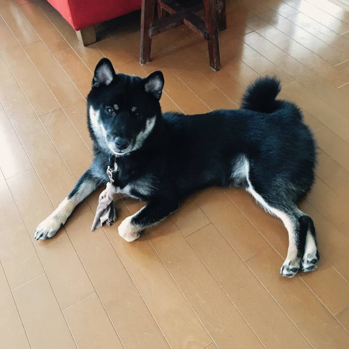 Be603117 57b0 4df8 99b4 6a3907a42ec8