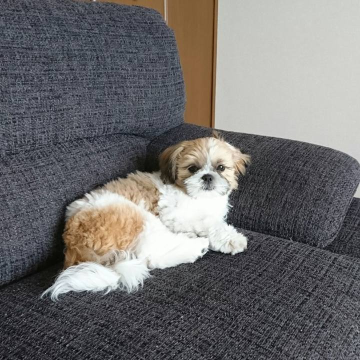 Be609e67 b1ec 47b6 aee0 890d24fccd5c