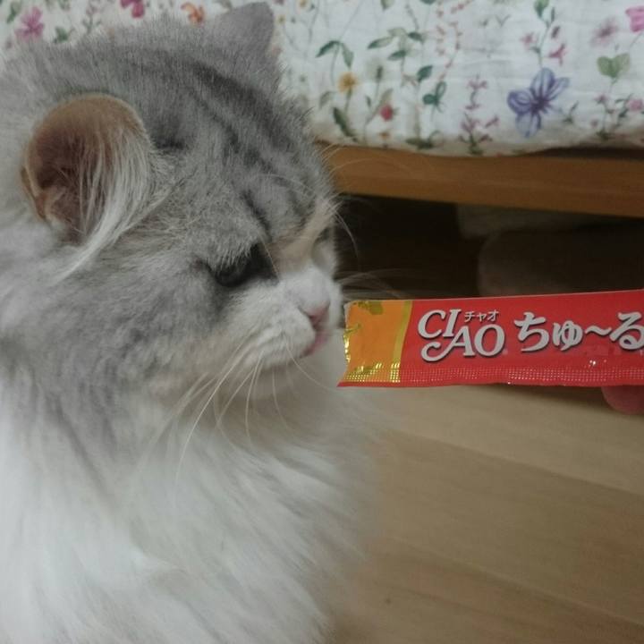 Be60fb06 b16c 47ed b627 cb631ebddfb7