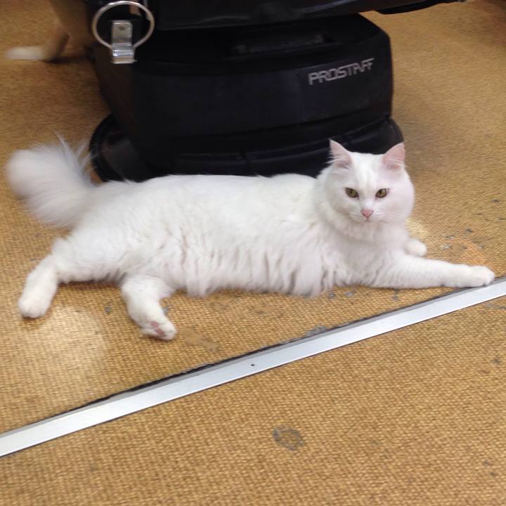 Be612300 ae64 4389 9527 cbc95c73d802