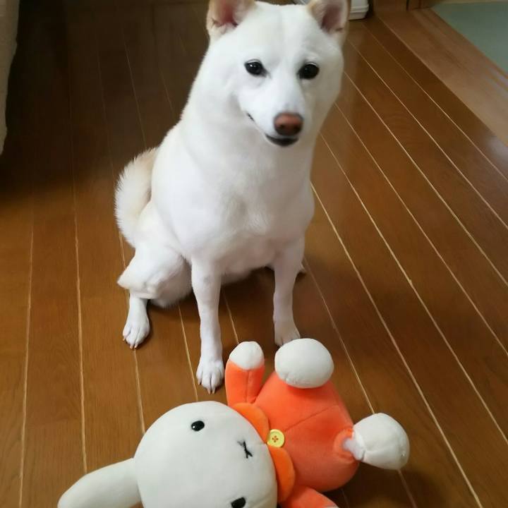 Be6129d7 1e39 4cb5 a306 d9a519c7d0bc