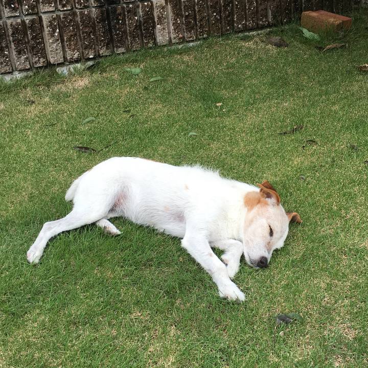 Be61fe95 4b79 4871 bb80 fe4bfa691de1