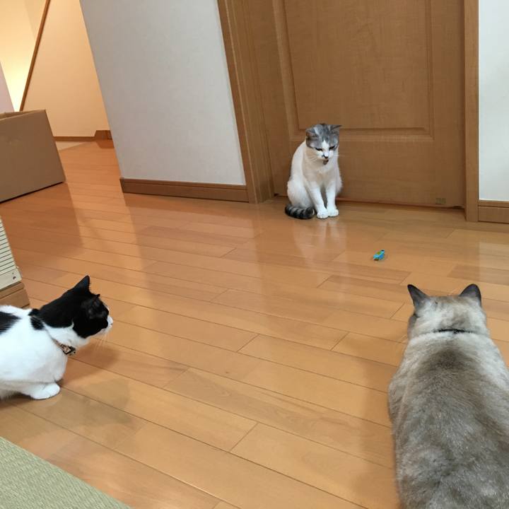 Be624d18 79ca 46f4 9373 92cc9056ce25