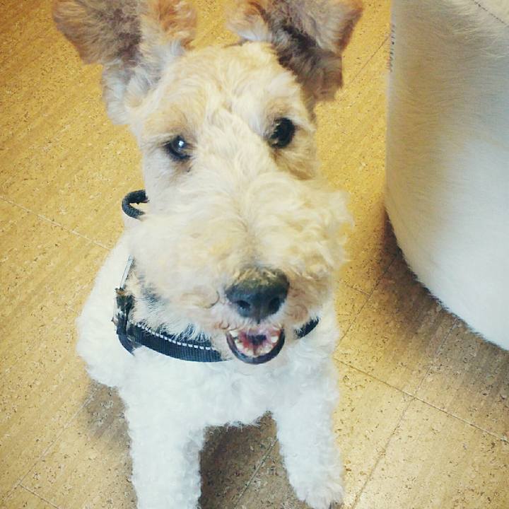 Be626e0c b8d4 4e8c b1d8 a984b37fcb8d