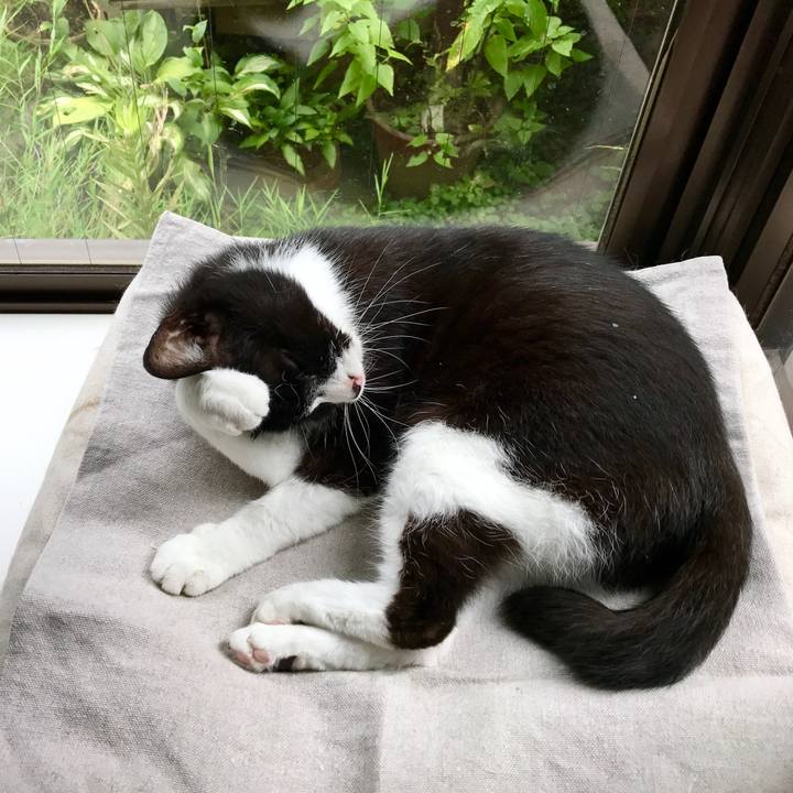 Be62bf47 ce92 4217 b967 b9f5f4a2f578